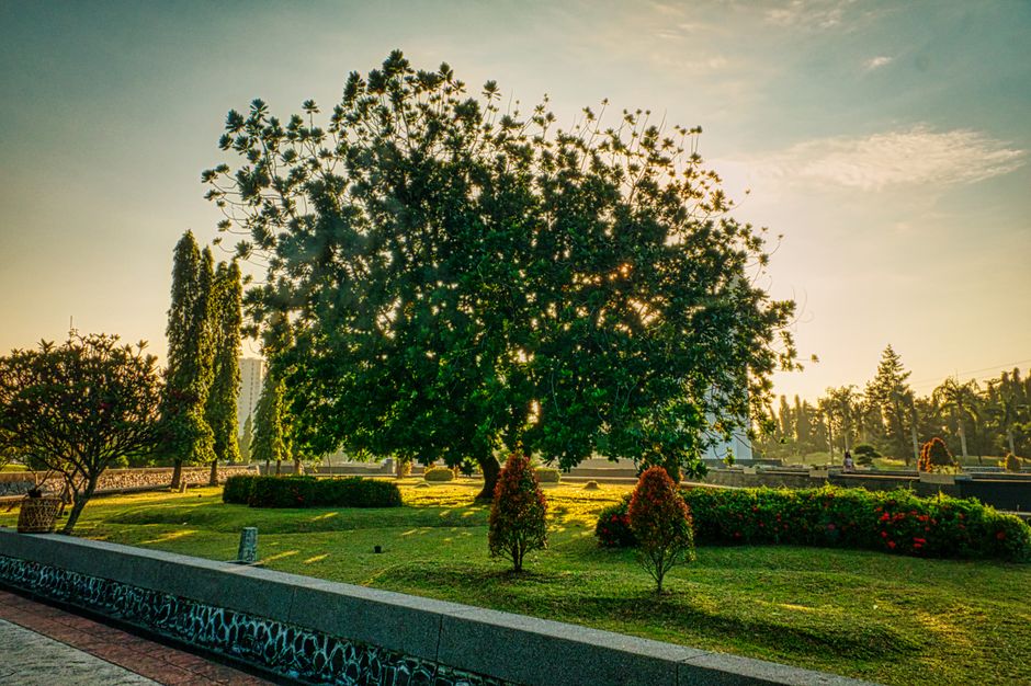 Penghijauan kota
